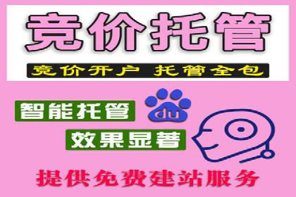 成功SEM代理案例：精准投放的策略